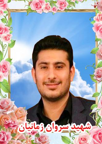 همراهان قاسم سلیمانی که بودند؟ شهید وحید زمانیان