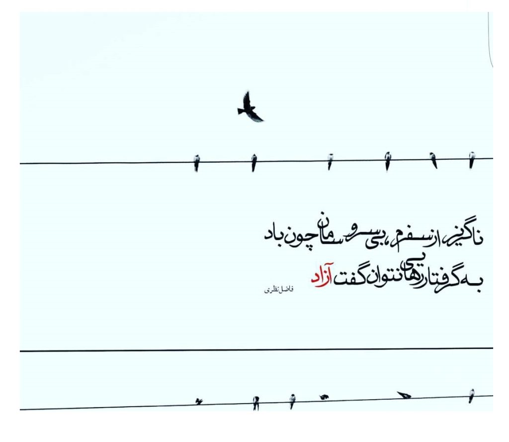 زیباترین اشعار فاضل نظری؛ عاشقانه، کوتاه و ناب
