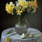 عکس گل نرگس در گلدان روی میز