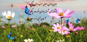 متن شعر بوی باران بوی سبزه بوی خاک از فریدون مشیری