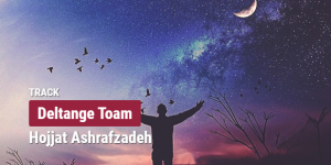 دانلود آهنگ دلتنگ توام که به داد دلم برسی حجت اشرف زاده با کیفیت بالا + متن آهنگ