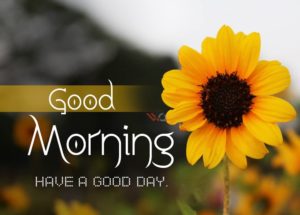 پیام های صبح بخیر انگیزشی و انرژی مثبت (خاص و جدید)