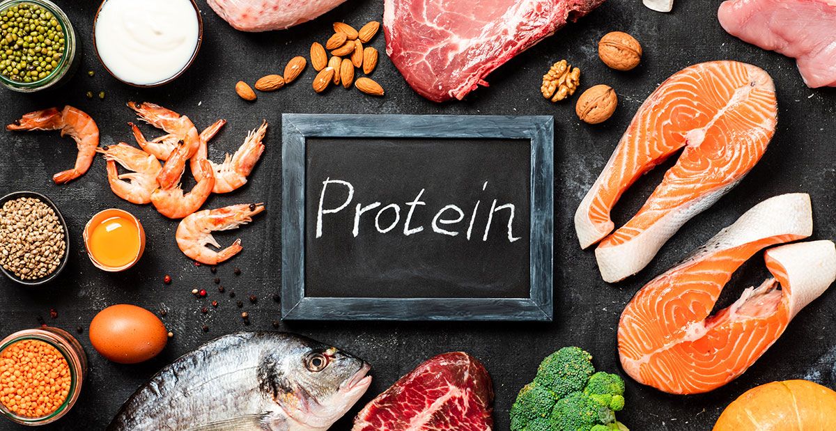 پروتئین چیست؟