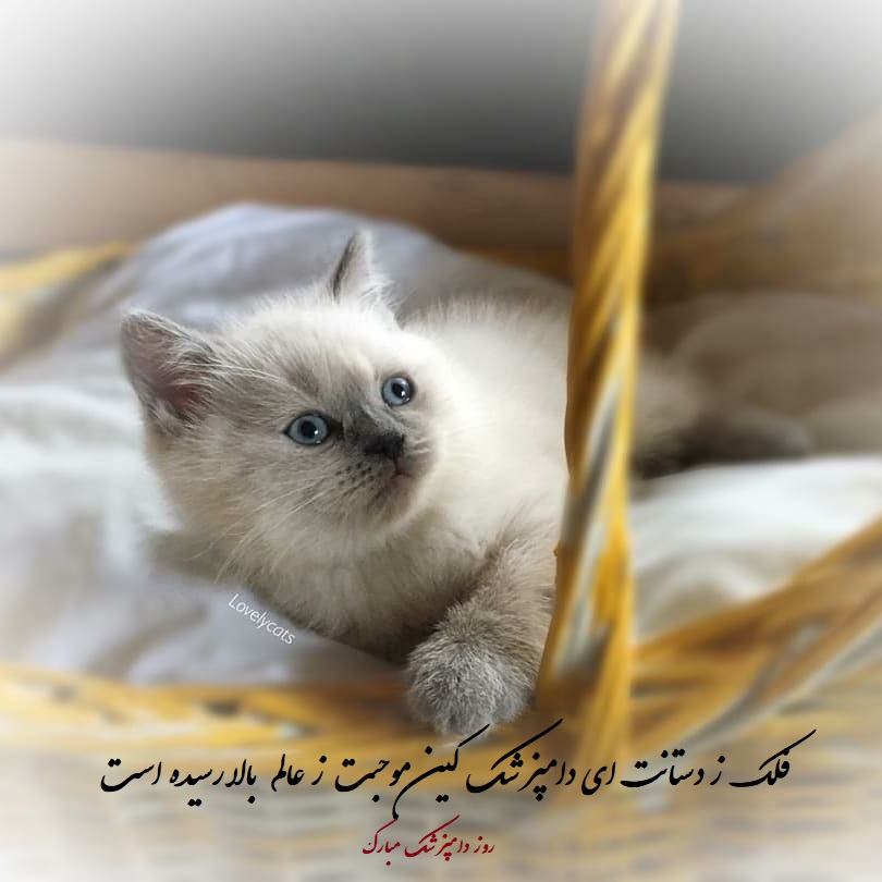 عکس تبریک روز دامپزشکی