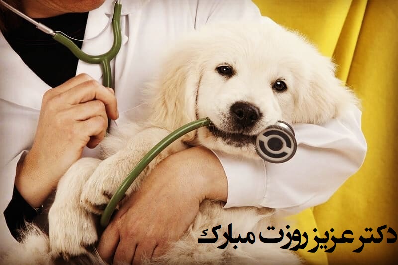 عکس نوشته های روز دامپزشکی