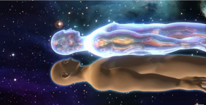 بدن انسان پس از مرگ چگونه می شود؟