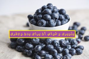 بررسی کامل خواص بلوبری و تاثیر آن بر لاغری و زیبایی پوست