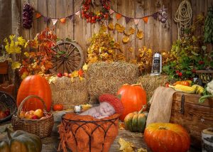 بک گراند شب یلدا رایگان با کیفیت عالی برای ادیت عکس