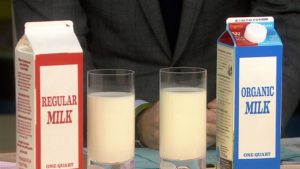 تفاوت شیر مدت دار و شیر معمولی در چه مواردی است؟