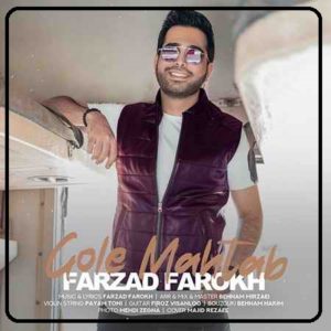 دانلود آهنگ هرگز هرگز هرگز که از تو دست بردارم فرزاد فرخ (آهنگ گل مهتاب)