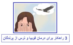 معرفی 3 راهکار برای درمان فوبیا و ترس از پرندگان