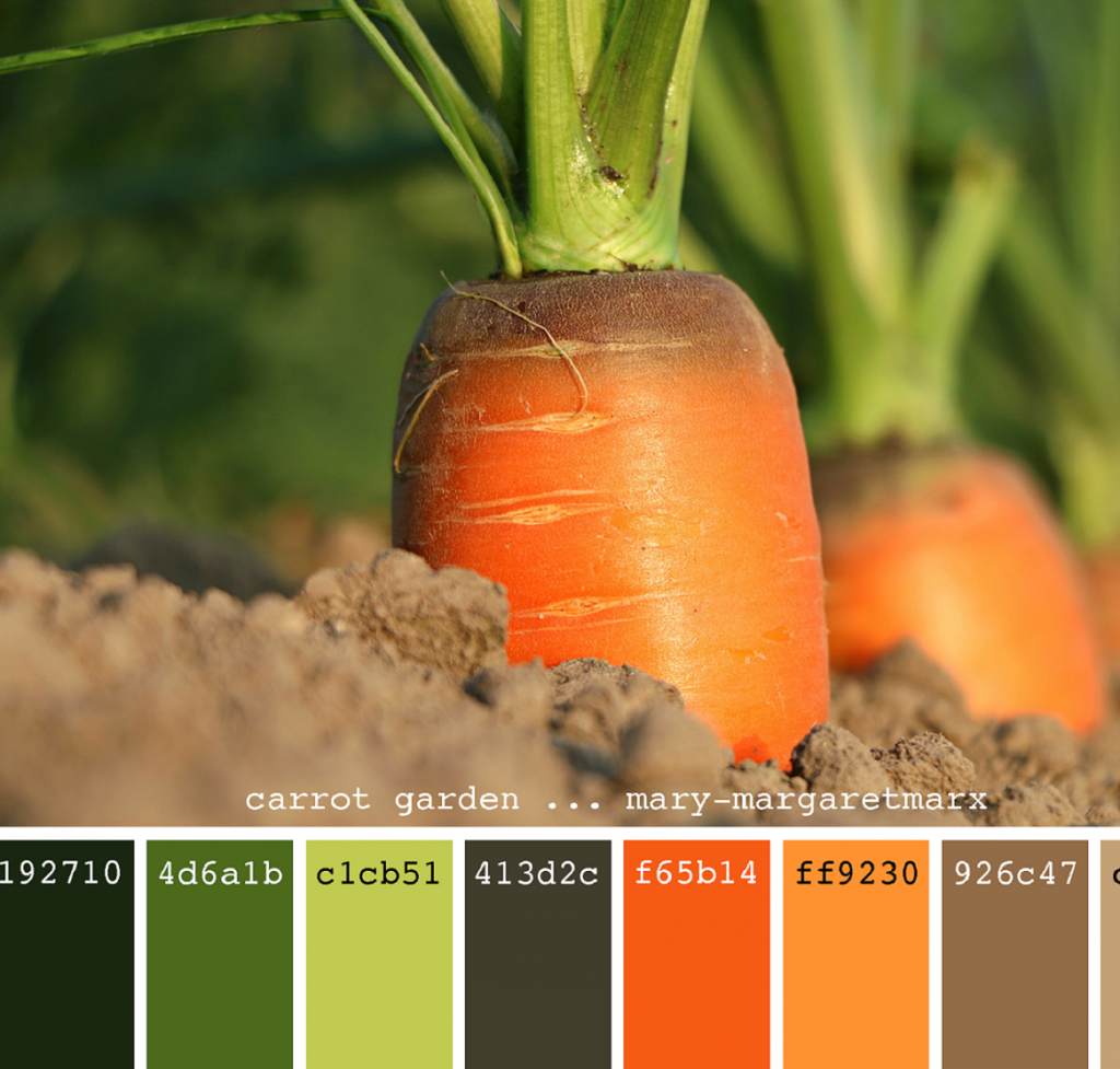 طرز تهیه رنگ خوراکی نارنجی با هویج برای کیک و دسر