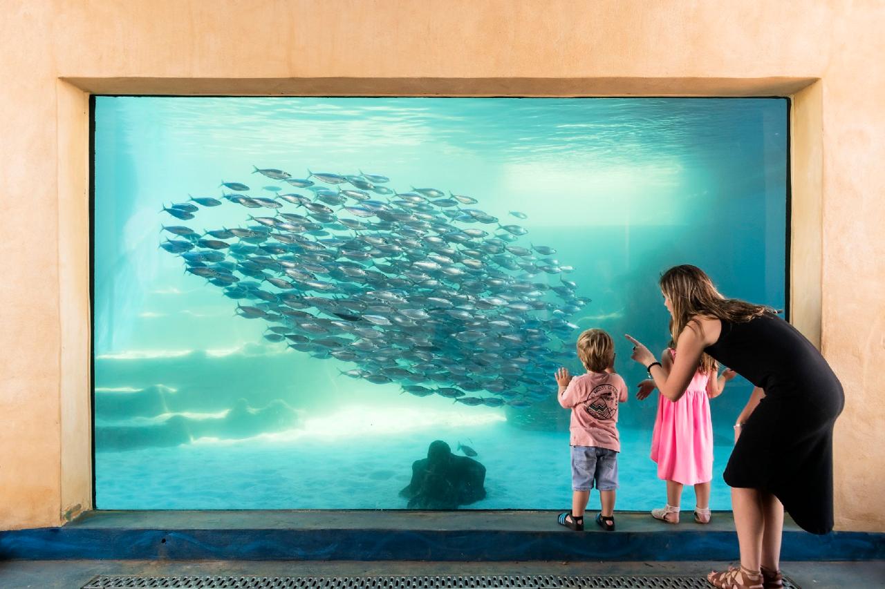 بزرگترین آکواریوم جهان AQUARIUM OF WESTERN AUSTRALIA