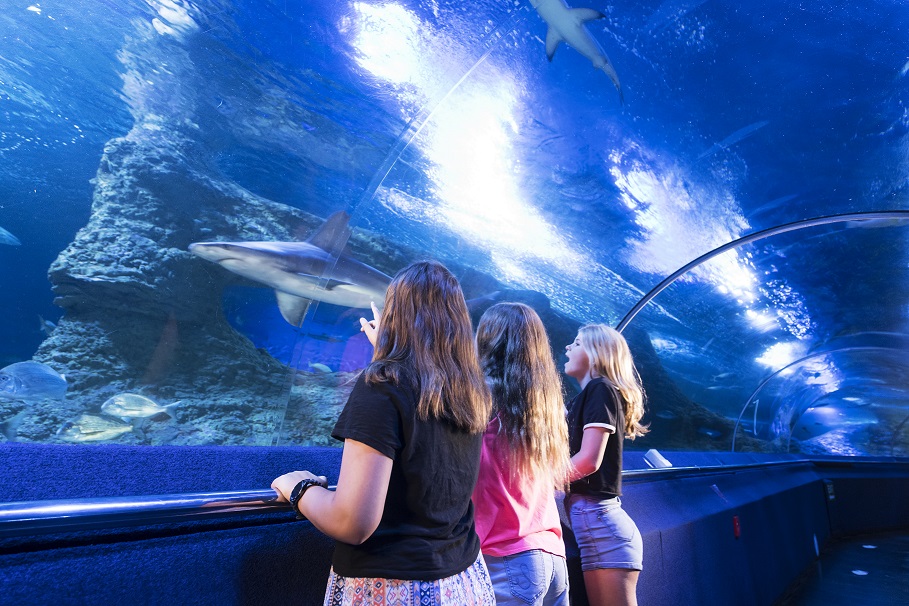 بزرگترین آکواریوم جهان AQUARIUM OF WESTERN AUSTRALIA