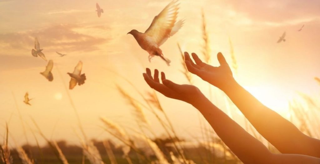 بهترین راه توبه از گناه + مراحل توبه کردن