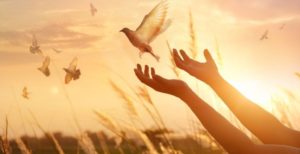 بهترین راه توبه از گناه + مراحل توبه کردن