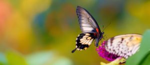 شعر کوتاه در مورد زندگی که با خواندن آن ها حالتان خوب می شود