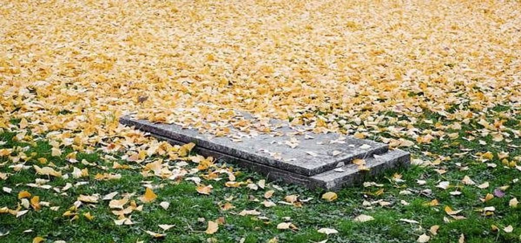 چرا تا چهلم سنگ قبر نمی گذارند؟