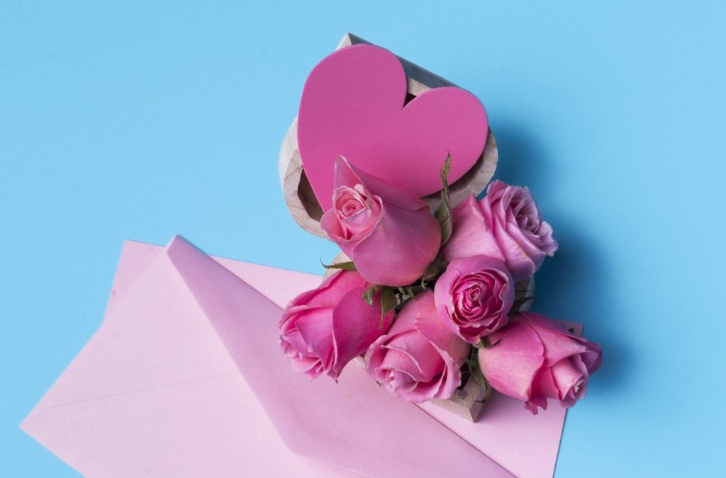 گل رز صورتی نماد چیست (قدردانی یا عشق)