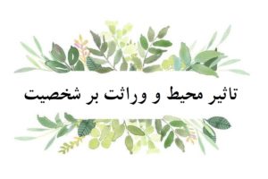 تاثیر محیط و وراثت بر شخصیت | کدام تاثیر بیشتری دارد؟