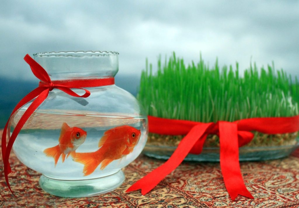 خاطره کوتاه درباره عید نوروز (زیبا، شنیدنی و متفاوت)