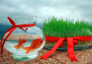 خاطره کوتاه درباره عید نوروز (زیبا، شنیدنی و متفاوت)