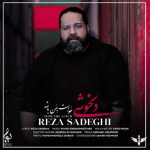 دانلود آهنگ جونم بسته به جونت جونمی رضا صادقی (دلخوشی) + متن