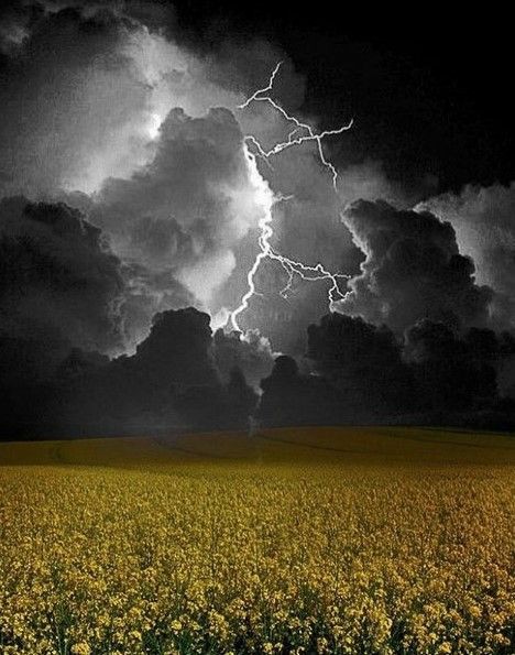 عکس های بسیار زیبا از رعد و برق جالب 