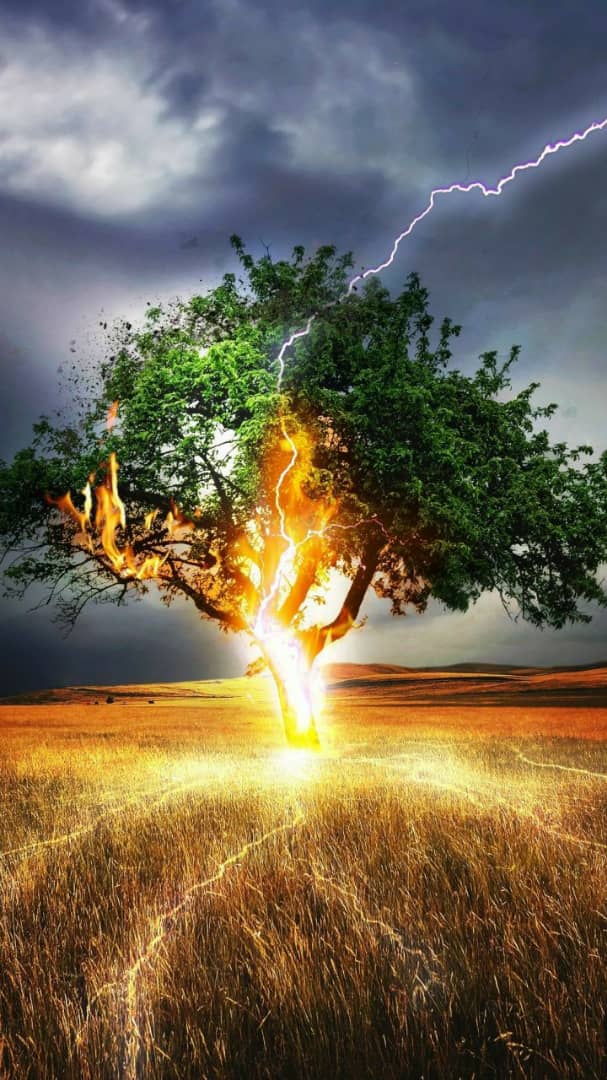 عکس های زیبای رعد و برق های جالب و خاص