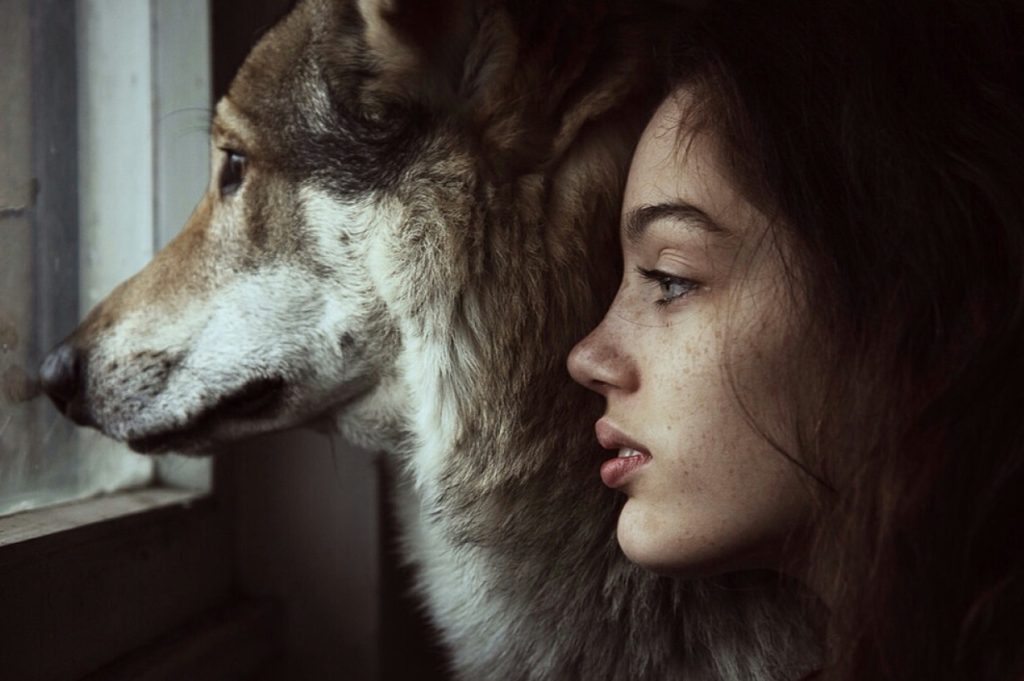 عکس دختر و گرگ برای پروفایل با کیفیت بالا