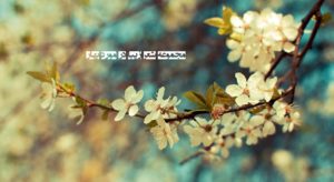 شعر در مورد بهار و سال نو و عید نوروز از شاعران بزرگ