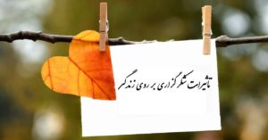 تاثیرات شکرگزاری بر روی زندگی | چگونه شکرگزاری کنیم؟