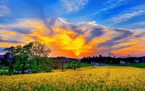 عکس منظره زیبای بهاری جدید برای پروفایل، استوری و پست های بهاری