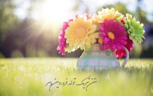 متن تبریک تولد فروردین ماهی ها؛ کاردینال های مستقل خوش قلب