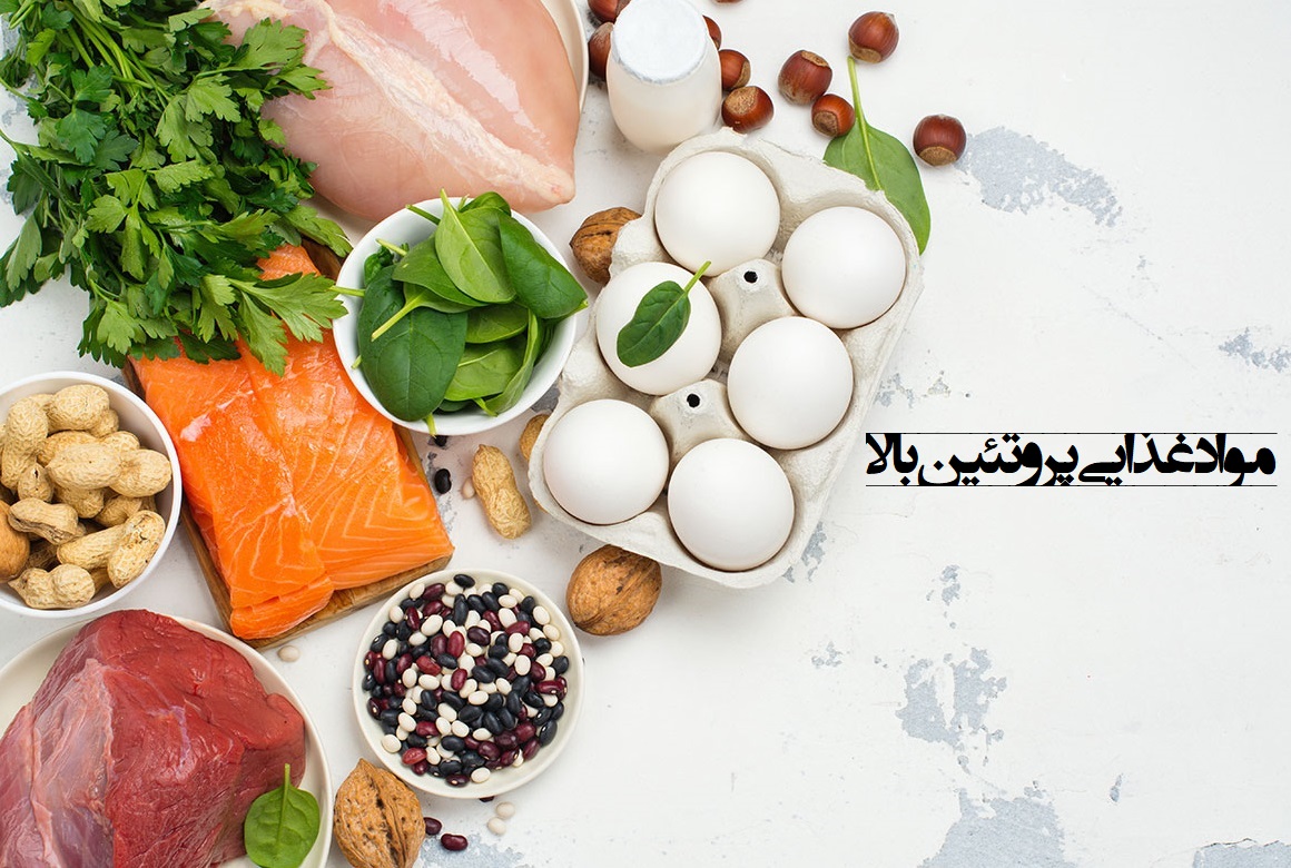کدام مواد غذایی سرشار از پروتئین هستند؟