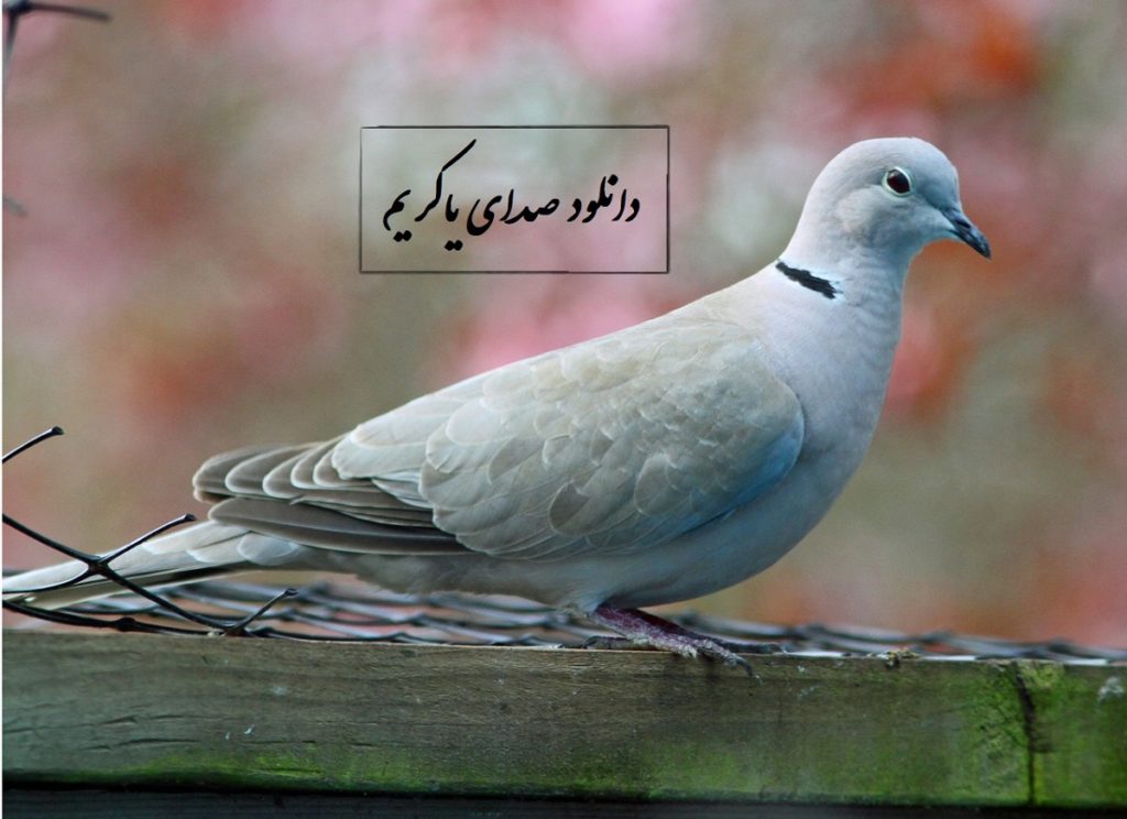 دانلود صدای یاکریم صوتی mp3 با کیفیت بالا