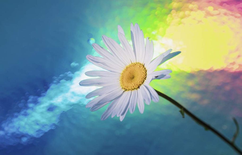 پیام صبح بخیر با آرزوی بهترین ها برای دوست، همسر، عشق