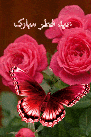 عکس تبریک عید فطر متحرک (gif) - گیف تبریک عید فطر1401 - مینویسم