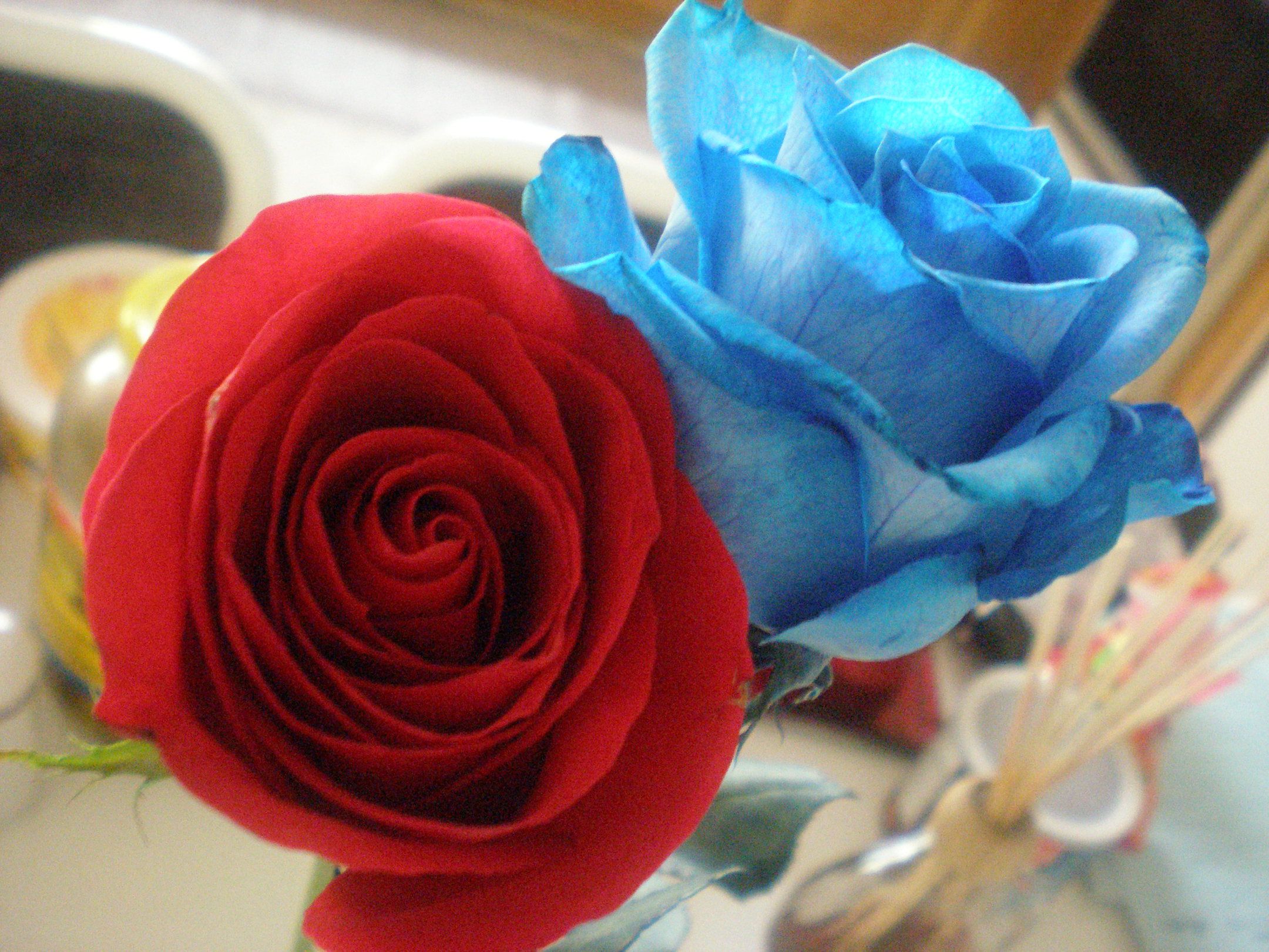 عکس گل رز آبی و قرمز برای پروفایل