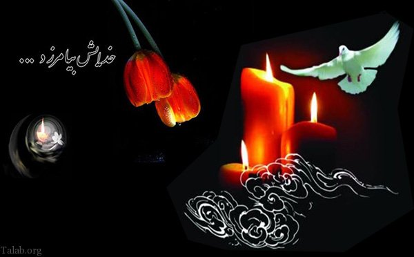 زن داداش عزیزم تسلیت میگم