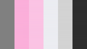 صورتی با چه رنگی ست می شود؟