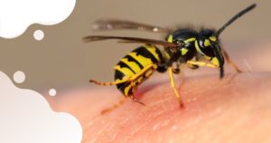 فواید نیش زنبور عسل برای انسان در درمان بیماری ها