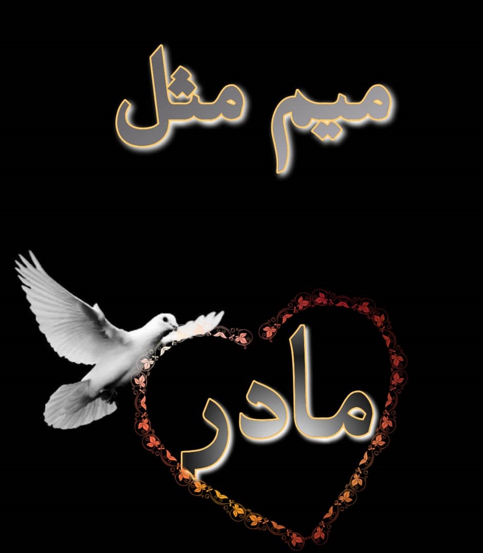 مادر زن عزیزم یادت گرامی