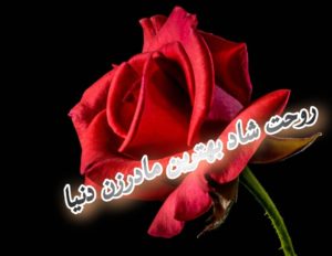 مادر زن عزیزم روحت شاد