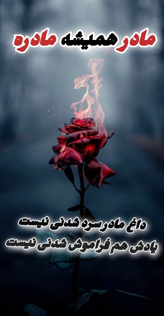 مادر زن عزیزم روحت شاد