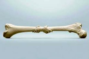 برای محکم شدن استخوان چی بخوریم؟