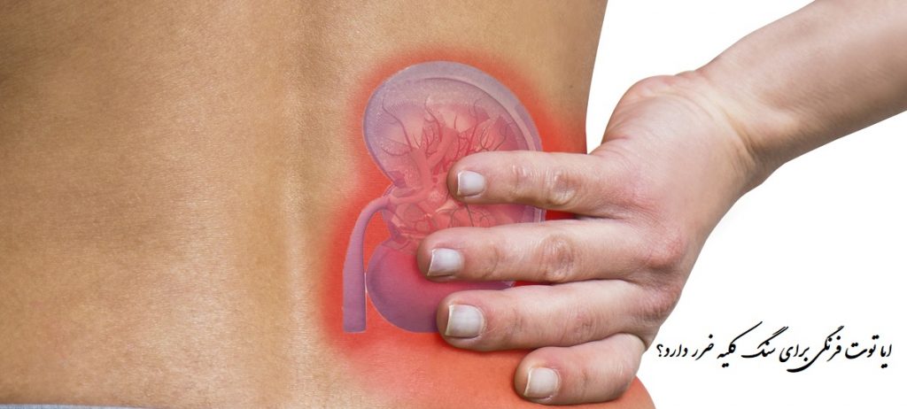 آیا توت فرنگی برای سنگ کلیه ضرر دارد؟