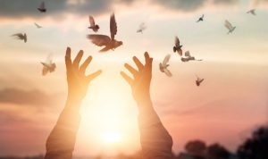 جملات زیبا در مورد گذشت و بخشش دیگران و خودمان