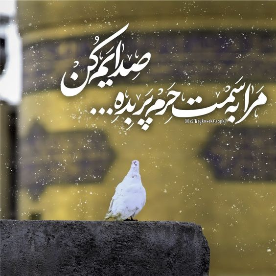 عکس برای استوری ولادت امام رضا