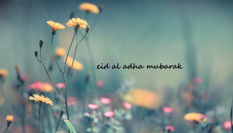 عکس تبریک عید قربان انگلیسی eid al adha mubarak